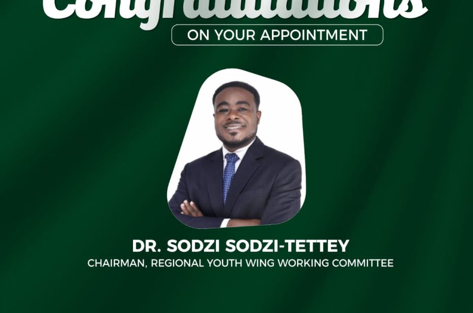 Congratulations Dr. Sodzi Sodzi-Tettey on Your Appointment as Chairman for the Youth Working Committee