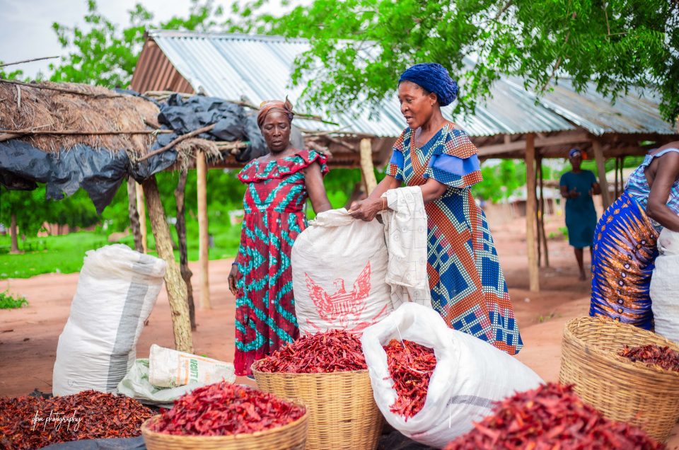 Residents in Afram Plains, Fosu Cries over Harvest with No Hope